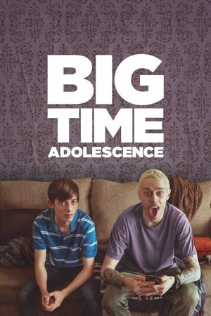 Big Time Adolescence (2019) Hindi Dual Audio –
