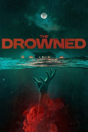 The Drowned (2023) Hindi (MULTI AUDIO) – – 1080p