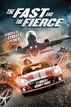 The Fast and the Fierce 2017 Hindi Dual Audio [900MB]