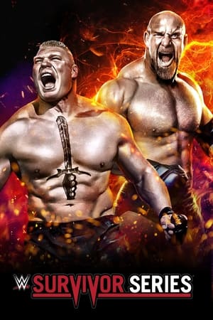 WWE Survivor Series 2016 PPV [750mb]